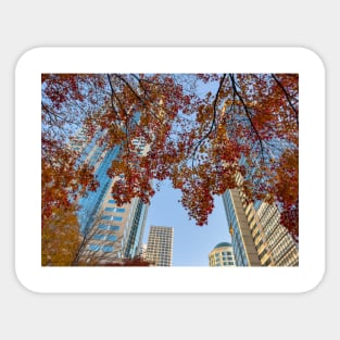 Fall in City Sticker